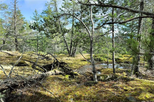 Lot 4-2140 Hyacinthe Bay Rd, Quadra Island, BC 