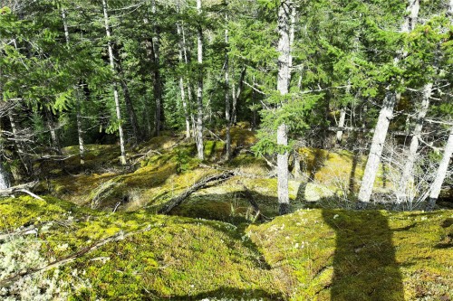 Lot 4-2140 Hyacinthe Bay Rd, Quadra Island, BC 