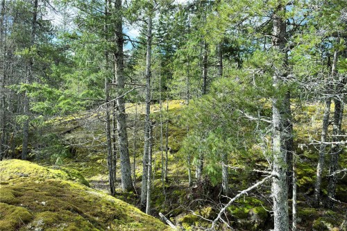 Lot 4-2140 Hyacinthe Bay Rd, Quadra Island, BC 