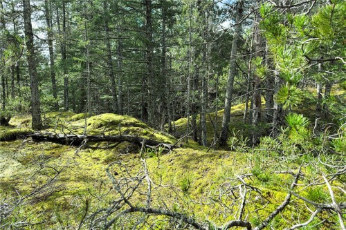 Lot 4-2140 Hyacinthe Bay Rd, Quadra Island, BC 