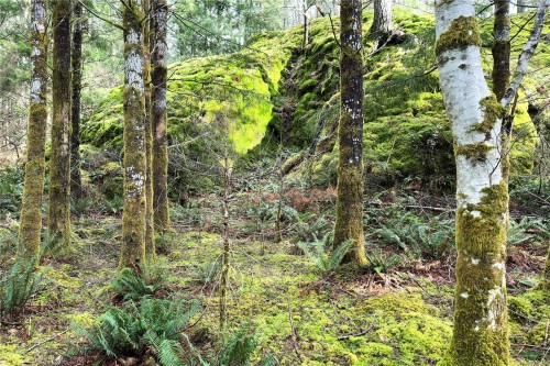 Lot 4-2140 Hyacinthe Bay Rd, Quadra Island, BC 