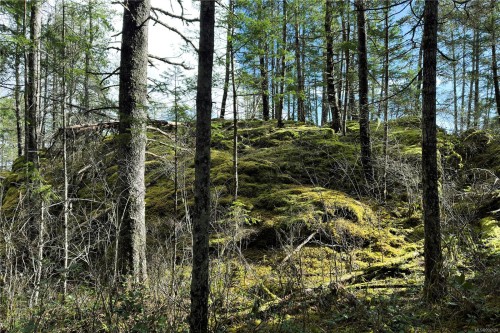 Lot 4-2140 Hyacinthe Bay Rd, Quadra Island, BC 