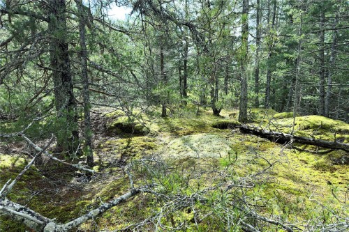 Lot 4-2140 Hyacinthe Bay Rd, Quadra Island, BC 