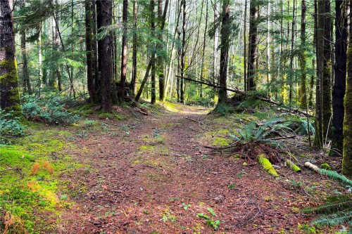 Lot 4-2140 Hyacinthe Bay Rd, Quadra Island, BC 