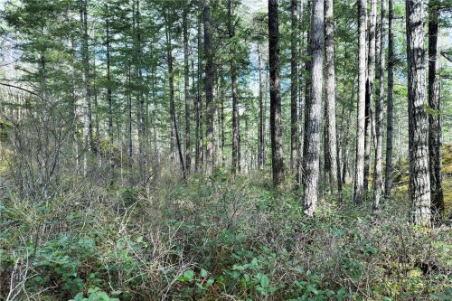 Lot 4-2140 Hyacinthe Bay Rd, Quadra Island, BC 