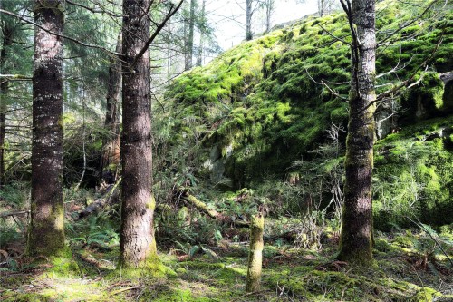 Lot 4-2140 Hyacinthe Bay Rd, Quadra Island, BC 