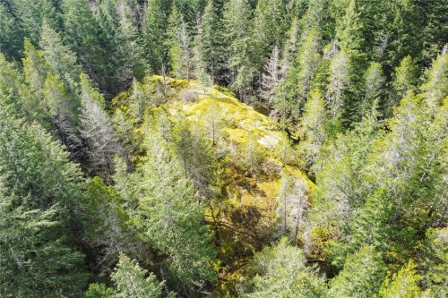 Lot 4-2140 Hyacinthe Bay Rd, Quadra Island, BC 