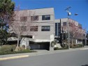 202-830 Shamrock St, Saanich, BC 