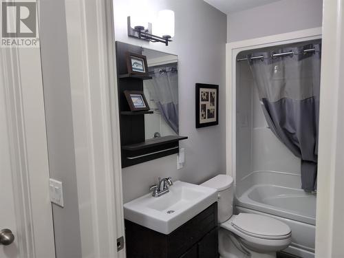 1 Route 380 Highway, Head Harbour, NL - Indoor Photo Showing Bathroom
