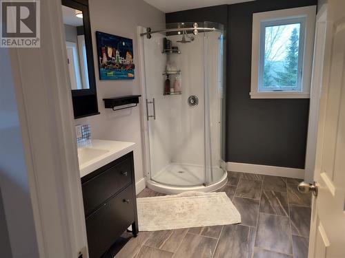 1 Route 380 Highway, Head Harbour, NL - Indoor Photo Showing Bathroom