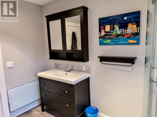 1 Route 380 Highway, Head Harbour, NL - Indoor Photo Showing Bathroom