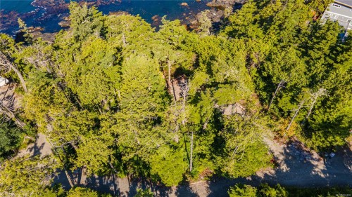 392 Reef Point Rd, Ucluelet, BC 