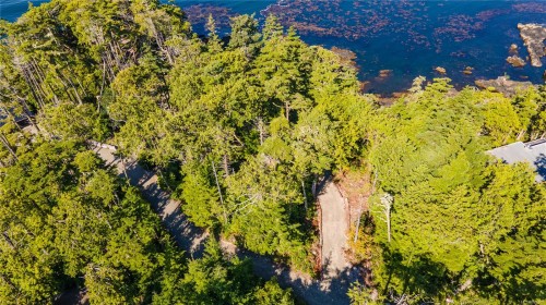 392 Reef Point Rd, Ucluelet, BC 
