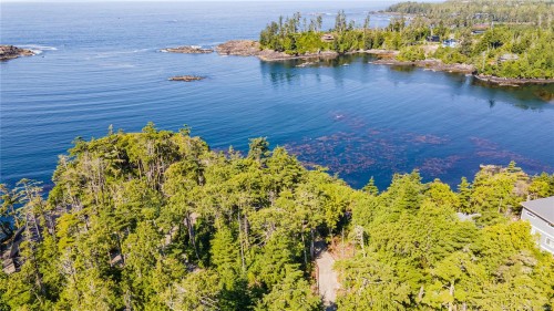 392 Reef Point Rd, Ucluelet, BC 