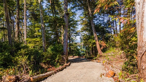 392 Reef Point Rd, Ucluelet, BC 