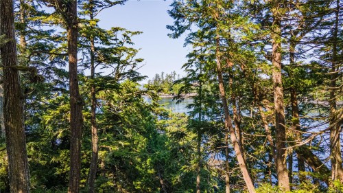 392 Reef Point Rd, Ucluelet, BC 