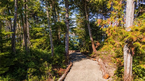 392 Reef Point Rd, Ucluelet, BC 