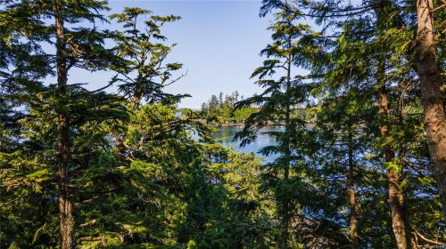392 Reef Point Rd, Ucluelet, BC 