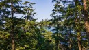392 Reef Point Rd, Ucluelet, BC 