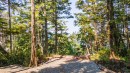 392 Reef Point Rd, Ucluelet, BC 