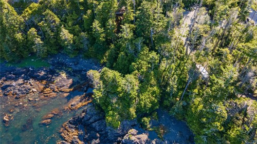 392 Reef Point Rd, Ucluelet, BC 