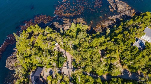 392 Reef Point Rd, Ucluelet, BC 