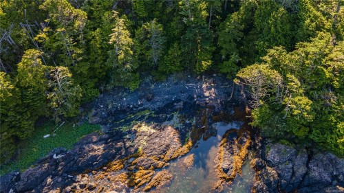 392 Reef Point Rd, Ucluelet, BC 