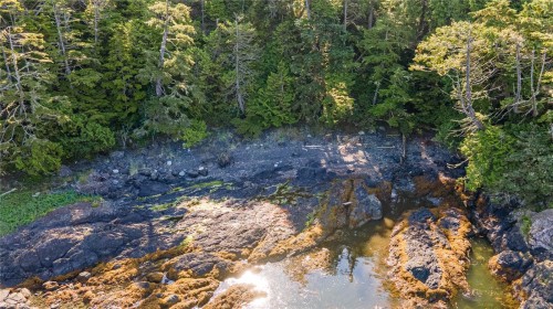 392 Reef Point Rd, Ucluelet, BC 