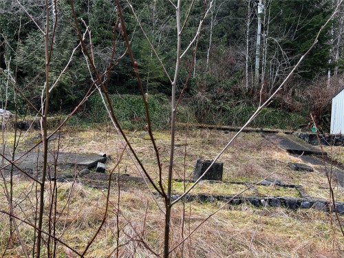 854 Maquinna Dr South, Tahsis, BC 