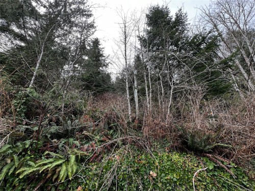 854 Maquinna Dr South, Tahsis, BC 