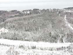 Lot 17-18 Shore Road  Caribou River, NS B0K 1H0