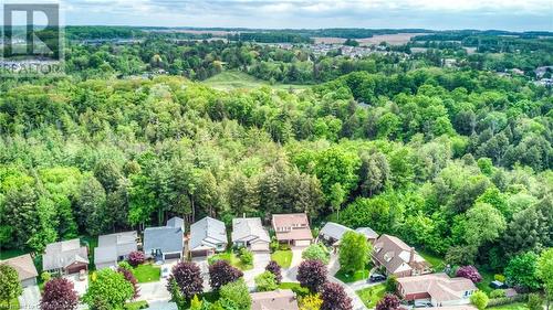 Birds eye view of property featuring a view of trees and a residential view - 105 Sabrina Crescent, Kitchener, ON - Outdoor With View