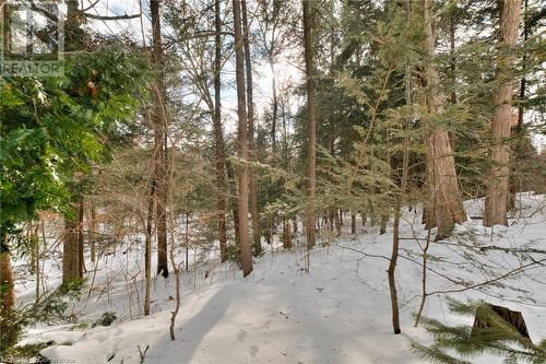 View of local wilderness - 105 Sabrina Crescent, Kitchener, ON - Outdoor With View