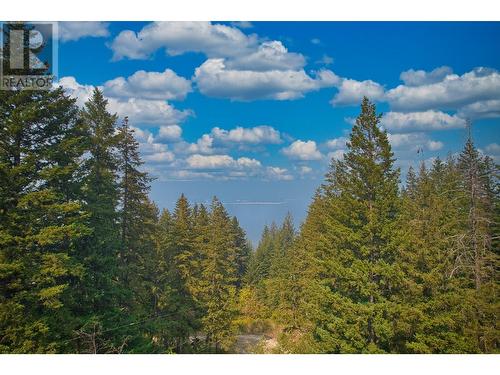 3096 Lindberg Road, Sorrento, BC - Outdoor With View