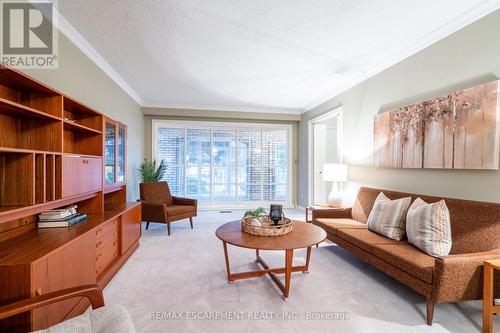 3 San Paulo Drive, Hamilton, ON - Indoor Photo Showing Living Room