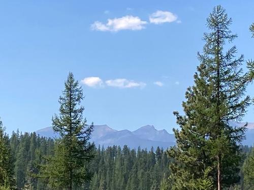 123 Ponderosa Point, Kimberley, BC - Outdoor With View