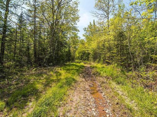 Lot 1 Old Post Road, Enfield, NS 