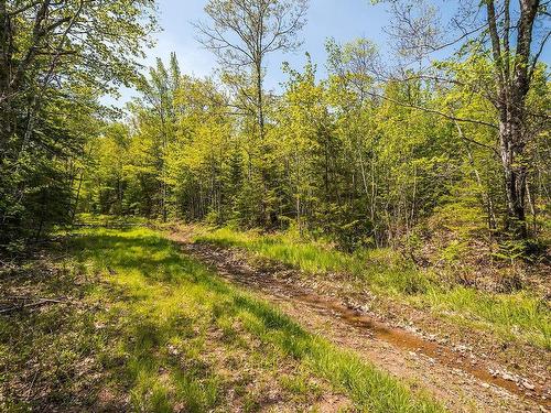 Lot 1 Old Post Road, Enfield, NS 