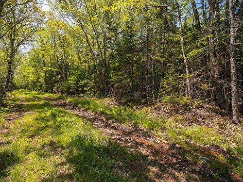 Lot 1 Old Post Road, Enfield, NS 