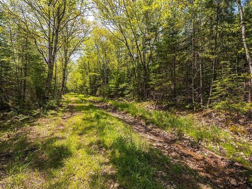 Lot 1 Old Post Road, Enfield, NS 