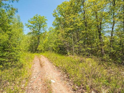 Lot 1 Old Post Road, Enfield, NS 