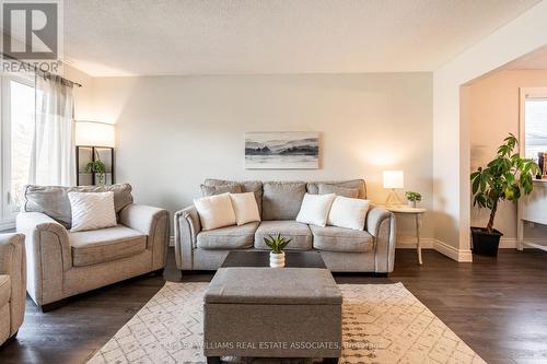 19 Vista Court, Hamilton, ON - Indoor Photo Showing Living Room