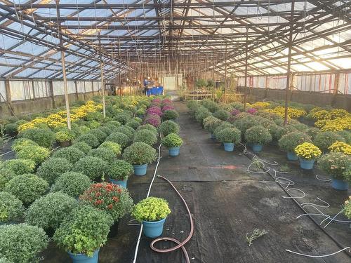 429 Seaview Drive, Upper North Sydney, NS 