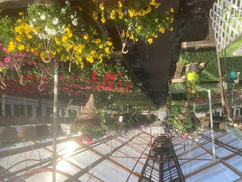 429 Seaview Drive, Upper North Sydney, NS 