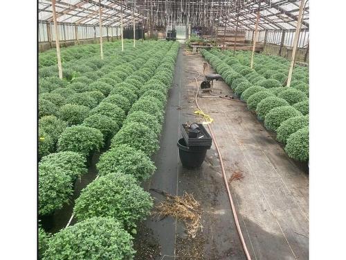 429 Seaview Drive, Upper North Sydney, NS 