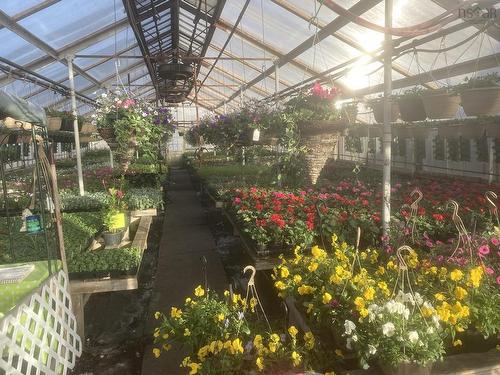 429 Seaview Drive, Upper North Sydney, NS 