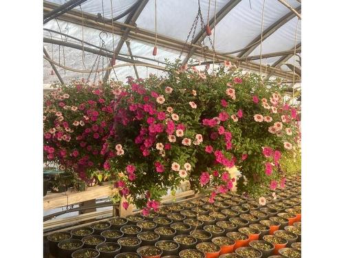 429 Seaview Drive, Upper North Sydney, NS 