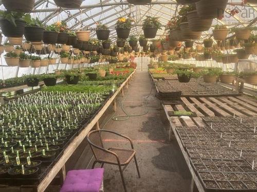 429 Seaview Drive, Upper North Sydney, NS 