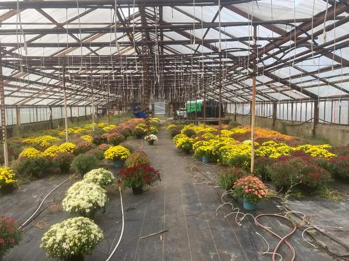 429 Seaview Drive, Upper North Sydney, NS 