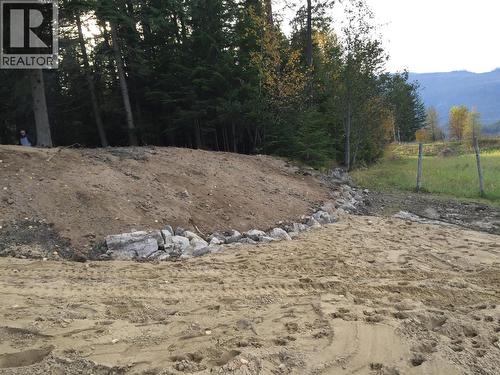 3848 Rock Island Road, Nakusp, BC - Outdoor With View